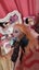 Ever after high faybelle thorn doll Carousel 3