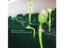 Grass Seed Mat (Auckland Stock) Carousel 9
