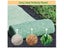 Grass Seed Mat (Auckland Stock) Carousel 10