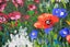 Large 100 x 40 cm Contemporary Painting Floral Surge Perfect for Above Bed/Sofa Carousel 12