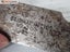 Assorted Precision Gauge Sets by Insize, Mitutoyo, & More Carousel 5