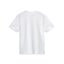 Plate CSF Tee Carousel 2