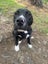 Meet Spinner—The World’s Chillest Companion! Carousel 1