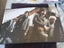 U2 BY U2 Carousel 1