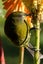 gallery view thumbnail