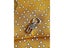 Scarf Holder Clip For Women - Shawls Bandanas Buckle Carousel 4