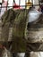 Hitachi Hydraulic pump coupling 4191663 Carousel 2