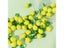 10Pc DIY Fruit Glass Beads Kit - Cherry Lemon Shaped For Jewelry Carousel 7