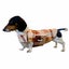 Dog raincoat Carousel 7