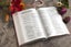 Niv, the Busy Mom's Bible, Leathersoft Over Board, Pink, Red Letter, Comfo Carousel 3
