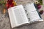Niv, the Busy Mom's Bible, Leathersoft Over Board, Pink, Red Letter, Comfo Carousel 5