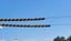 Tiger Tails - Electric Cable Protection Carousel 2