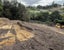 Earthworks, Drainage & Tree Services Carousel 7