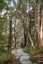 gallery view thumbnail