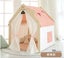 NASPA Play House Carousel 5