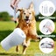 Syenll Dog Water Bottle, Leak Proof Travel Bottle for Dogs, Portable Dog Wate Carousel 2