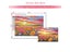 Sunset Landscape Flowers Diamond Painting Kit For Adults DIY Hobby Carousel 6