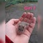 Baby girl mice Carousel 7