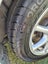gallery view thumbnail