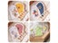 Glows In Dark Mini Fairy Elf Door Home Decor Carousel 6