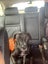 ADOPTED **Carlos** Diego's Rescue Carousel 6