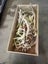 50 Sets of Deer Antlers Carousel 7