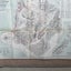 The King Country. original explorations. Large.1883. RARE Carousel 3