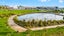 gallery view thumbnail