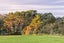 gallery view thumbnail