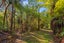 gallery view thumbnail