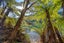 gallery view thumbnail