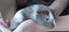 Cute guinea pigs for sale Carousel 1