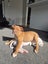 Shiloh - Chance 4 Change Carousel 1
