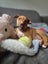 Shiloh - Chance 4 Change Carousel 2