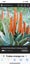 Loading Image 4 of 4