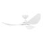 Loading Image 1 of 7