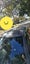 gallery view thumbnail