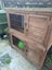 2x Female Guinea Pigs, Hutches, Equipment, Hay - Pick Up Miramar Wellington Carousel 11
