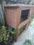 2x Female Guinea Pigs, Hutches, Equipment, Hay - Pick Up Miramar Wellington Carousel 13