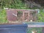 2x Female Guinea Pigs, Hutches, Equipment, Hay - Pick Up Miramar Wellington Carousel 14