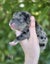 Golden Retriever x Border Collie Puppies Carousel 4