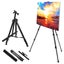 STORFEX Portable Height Adjustable Easel for Painting Carousel 5