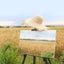 STORFEX Portable Height Adjustable Easel for Painting Carousel 7