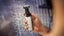 Philips: Bodygroom Showerproof Groin & Body Trimmer Series 5000 (BG5021/16) Carousel 5