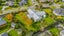 gallery view thumbnail