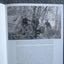 Takahe: Bird of Dreams by Alison Ballance. Hardback Dust Jacket 2023 Carousel 7