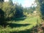 gallery view thumbnail