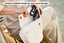 Kogan Compact Foldable Travel Hair Dryer Carousel 8