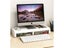 Monitor Stand (OVER STOCKED) Carousel 8