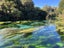 Great North Tours: Private Multi-Day NZ Tours Carousel 4